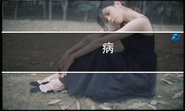 病 攻略