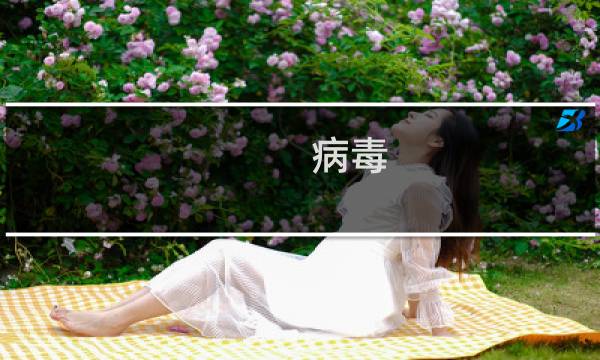病毒 攻略