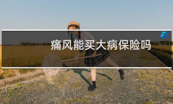痛风能买大病保险吗