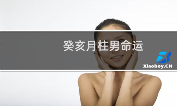 癸亥月柱男命运