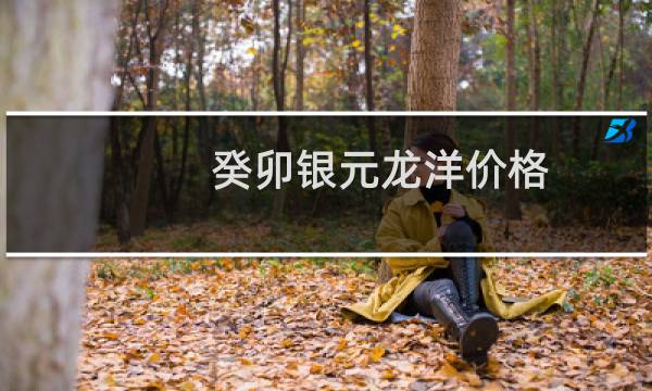 癸卯银元龙洋价格
