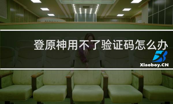 登原神用不了验证码怎么办