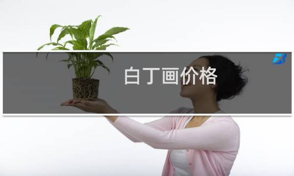 白丁画价格
