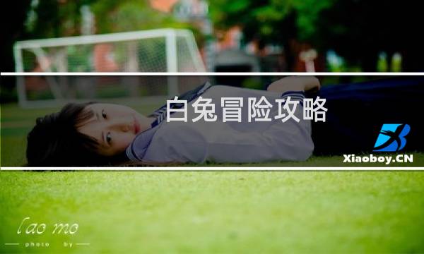 白兔冒险攻略