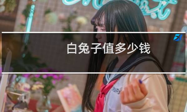 白兔子值多少钱