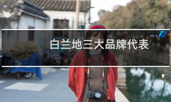 白兰地三大品牌代表