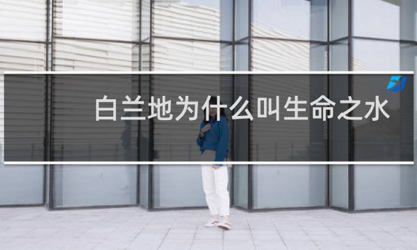 白兰地为什么叫生命之水