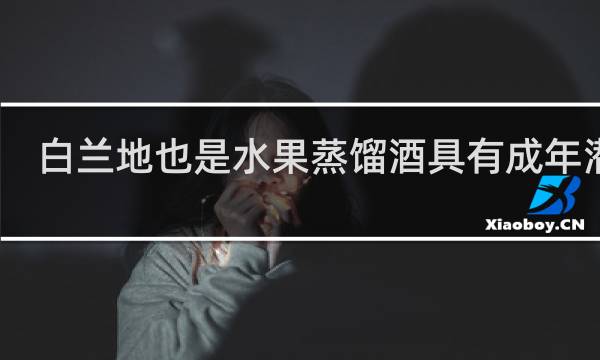 白兰地也是水果蒸馏酒具有成年潜力