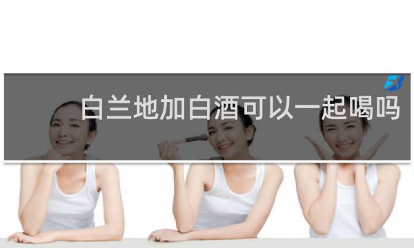白兰地加白酒可以一起喝吗