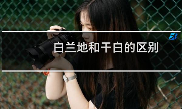 白兰地和干白的区别
