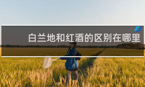 白兰地和红酒的区别在哪里
