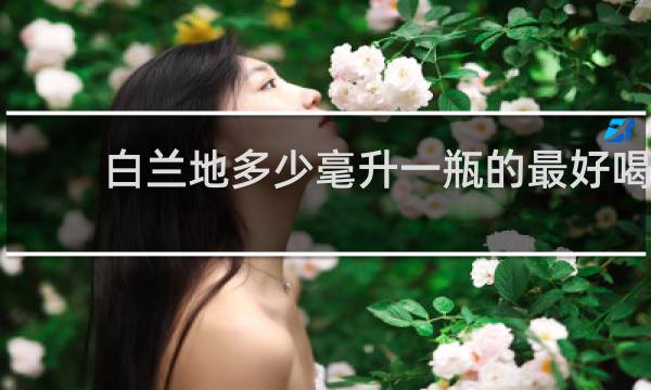 白兰地多少毫升一瓶的最好喝