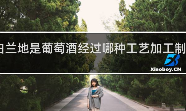 白兰地是葡萄酒经过哪种工艺加工制作而成