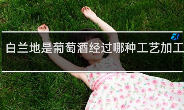 白兰地是葡萄酒经过哪种工艺加工制成