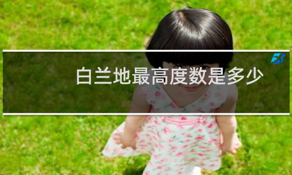白兰地最高度数是多少