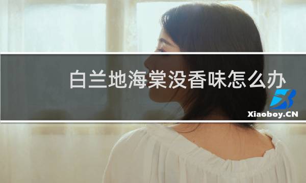 白兰地海棠没香味怎么办
