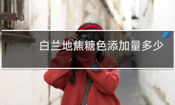 白兰地焦糖色添加量多少