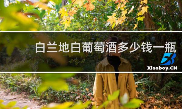 白兰地白葡萄酒多少钱一瓶