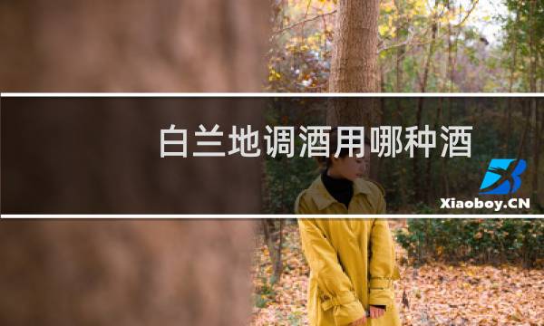 白兰地调酒用哪种酒