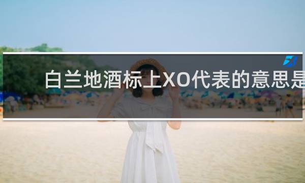 白兰地酒标上XO代表的意思是