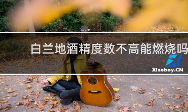 白兰地酒精度数不高能燃烧吗