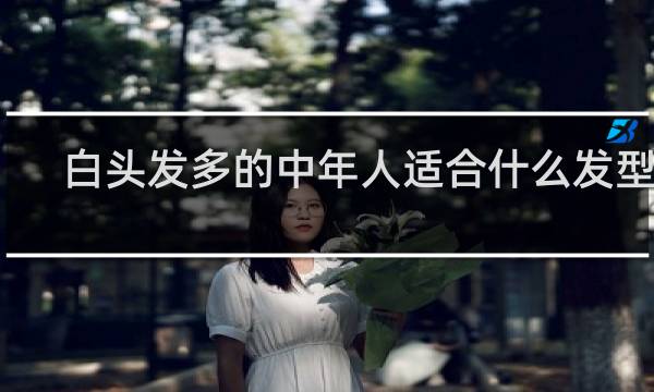 白头发多的中年人适合什么发型男