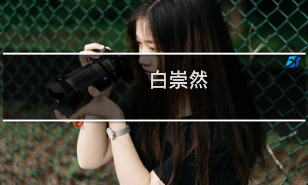 白崇然 价格