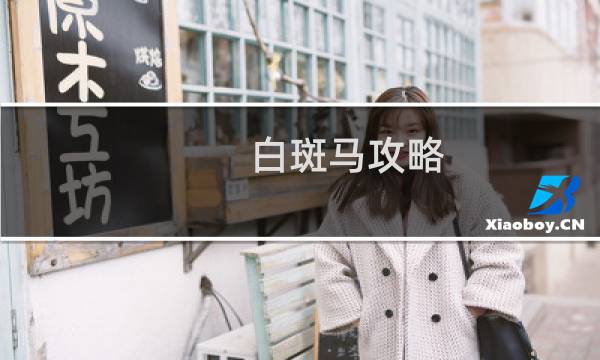 白斑马攻略