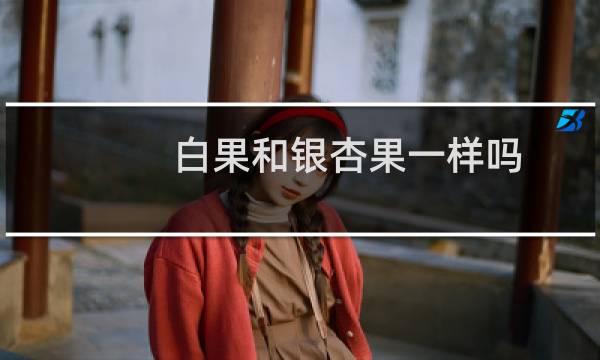 白果和银杏果一样吗