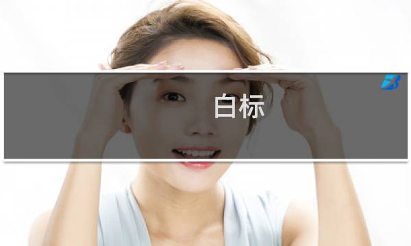 白标 价格