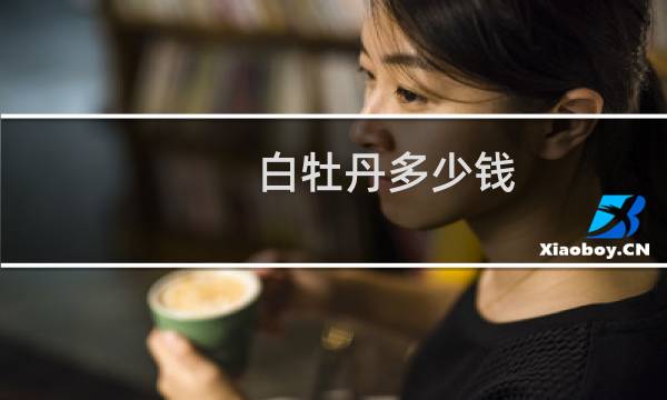 白牡丹多少钱