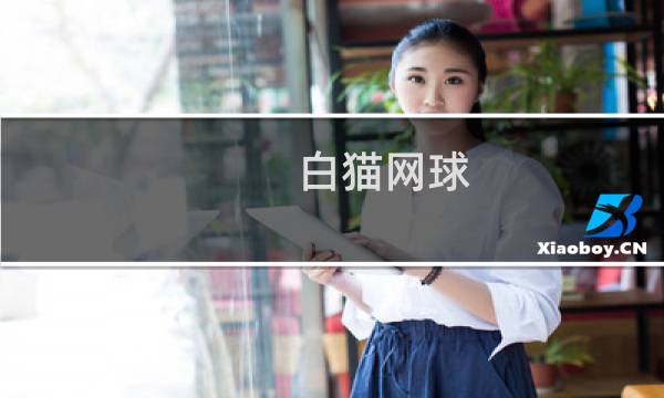 白猫网球 攻略