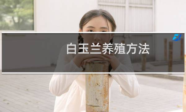 白玉兰养殖方法