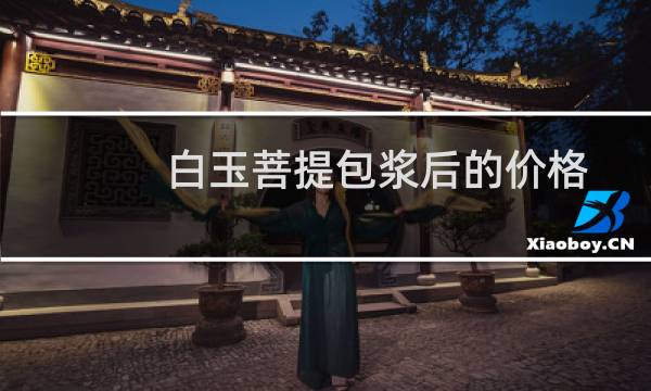 白玉菩提包浆后的价格