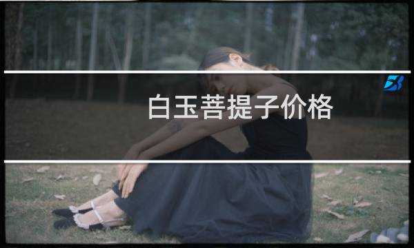 白玉菩提子价格