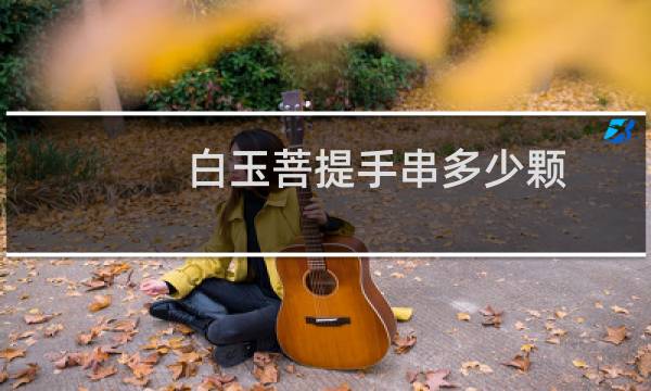 白玉菩提手串多少颗