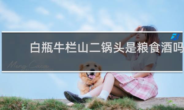 白瓶牛栏山二锅头是粮食酒吗