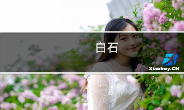 白石 画价格