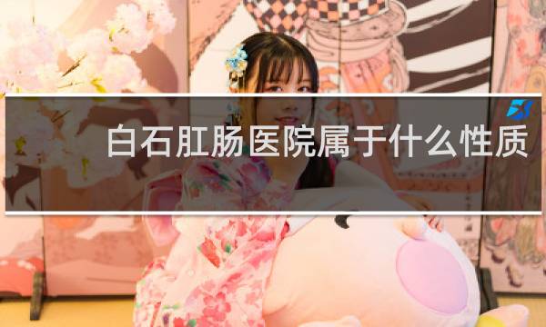 白石肛肠医院属于什么性质