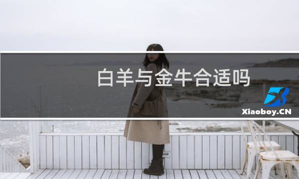 白羊与金牛合适吗