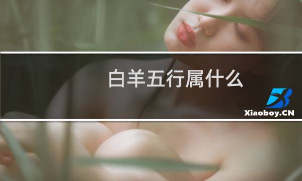 白羊五行属什么
