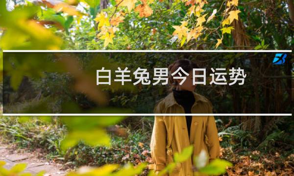 白羊兔男今日运势