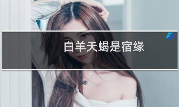 白羊天蝎是宿缘