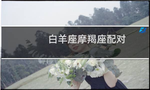白羊座摩羯座配对