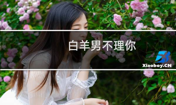 白羊男不理你