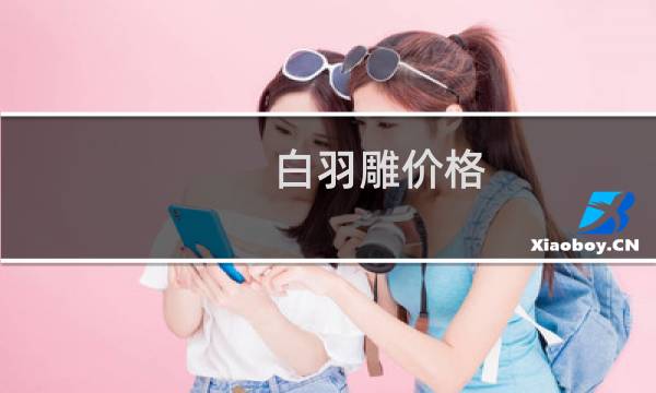 白羽雕价格