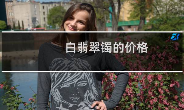 白翡翠镯的价格