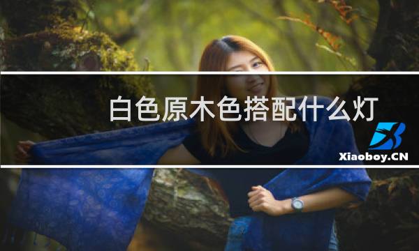 白色原木色搭配什么灯