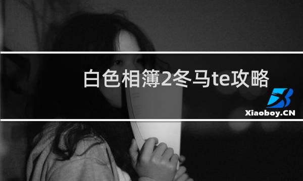 白色相簿2冬马te攻略