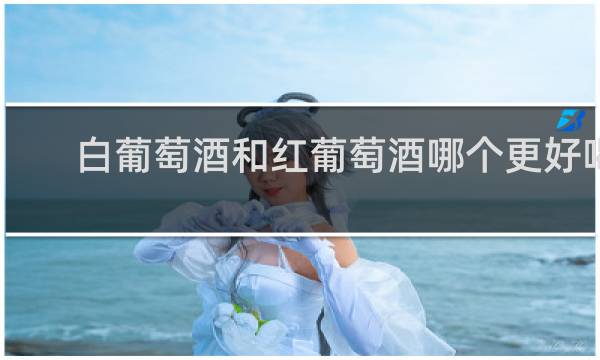 白葡萄酒和红葡萄酒哪个更好喝